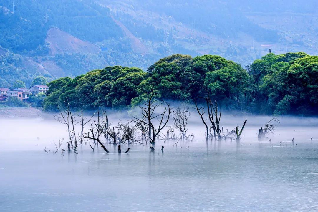 千年打卡胜地丨嘘,别说话!永州国家湿地公园美到窒息!