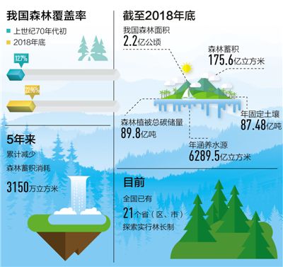 我国森林面积和蓄积30多年保持双增长